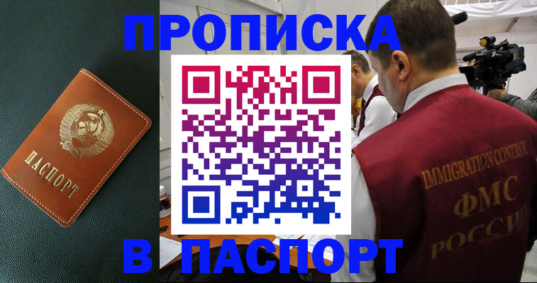 прописка иностранных граждан в Североморске